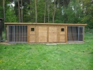 hundepension wasserbecken